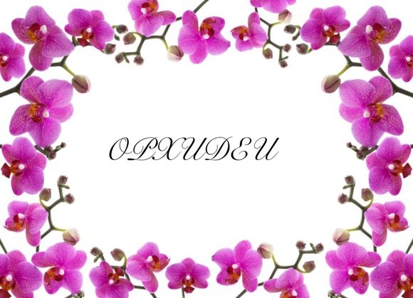 Рамка из орхидей