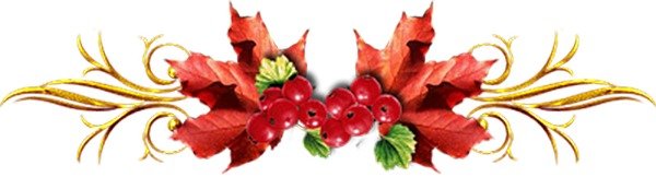 Рамка с калиной на прозрачном фоне