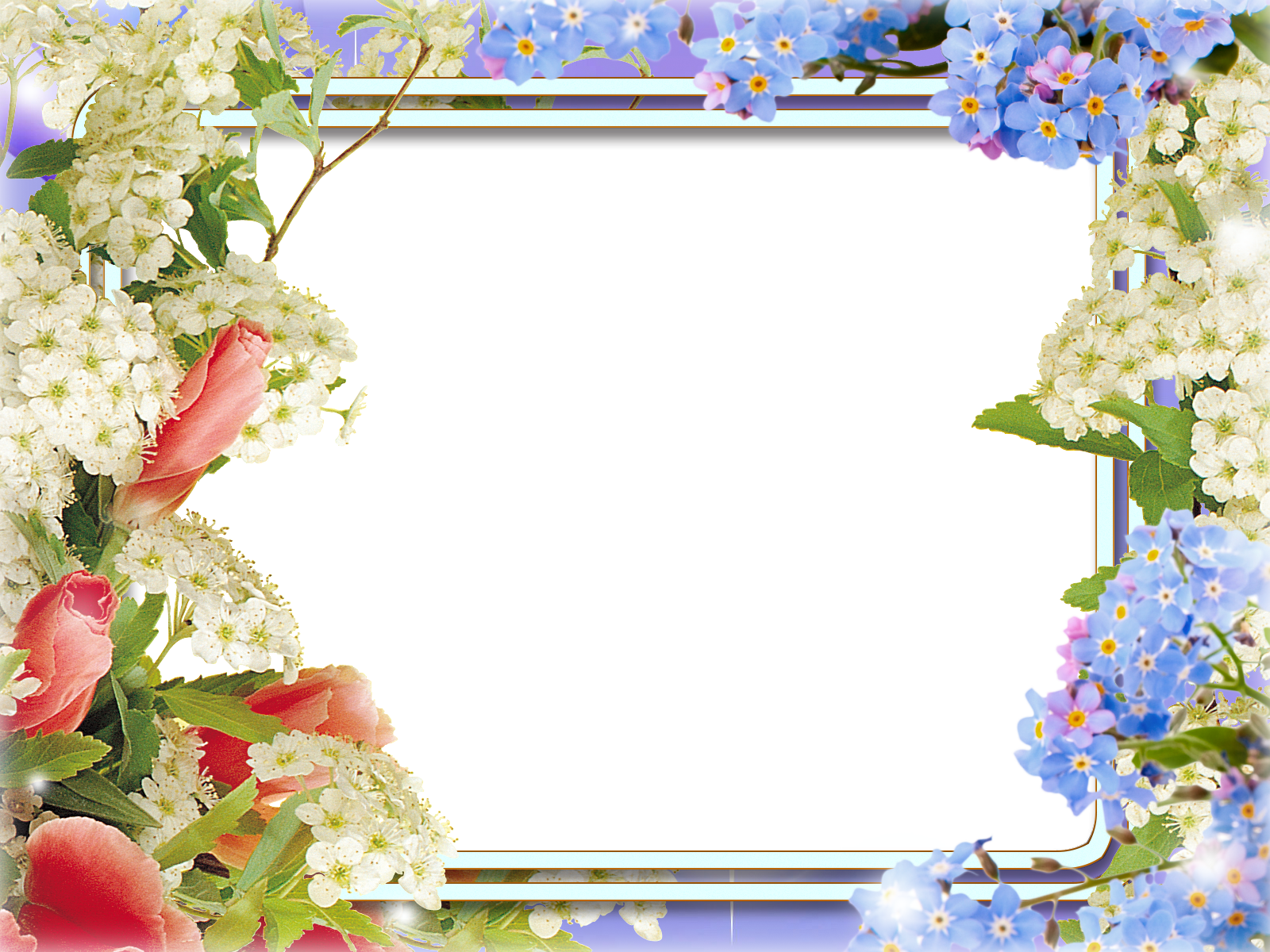 1 май рамки. Рамка цветы. Цветочная рамка. Красивая рамка. Весенняя рамка.