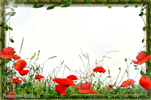 Фоторамка с маками