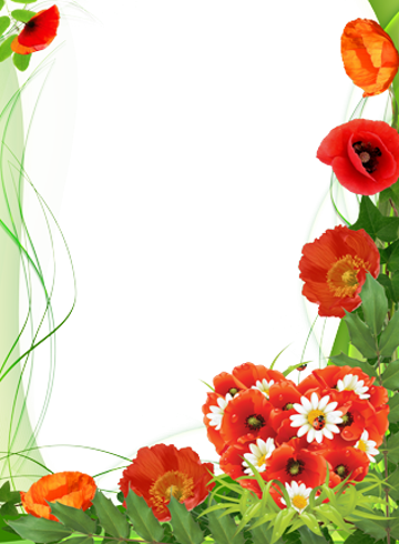 Рамка из маков