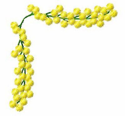 Рамка из мимозы