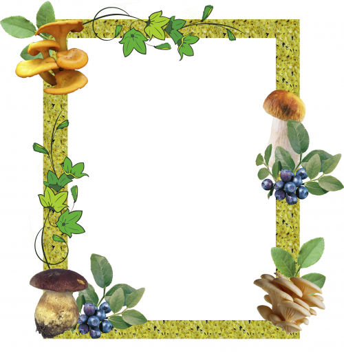 Рамка грибы