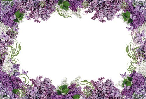Рамка сирень