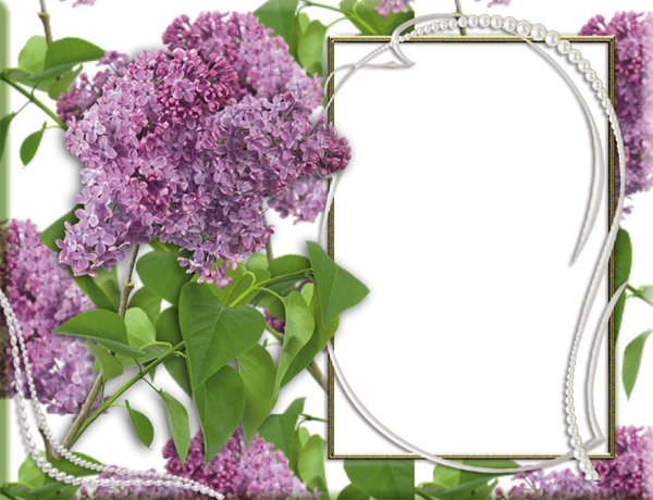 Рамка черемуха