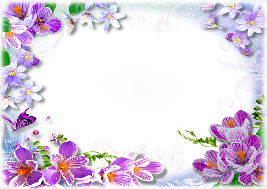 Рамка с весенними цветами для текста