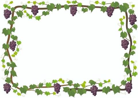 Рамка из лозы винограда