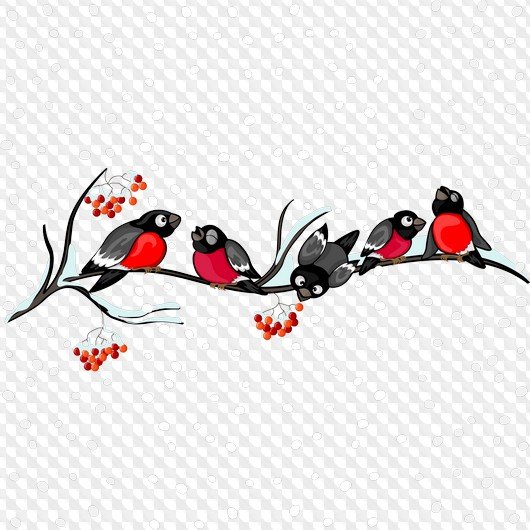 Снегирь клипарт на прозрачном фоне