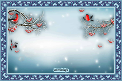 Рамка снегири на прозрачном фоне (38 фото)