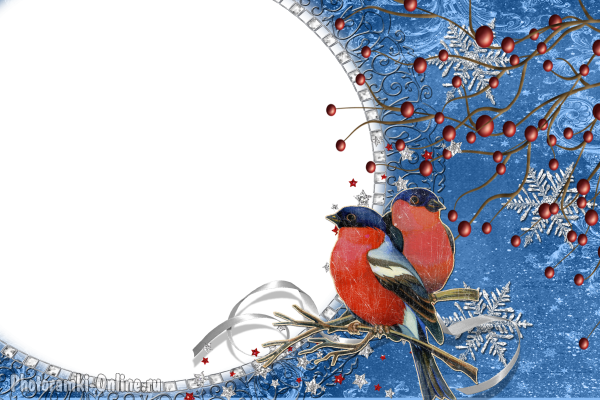 Рамка зимующие птицы