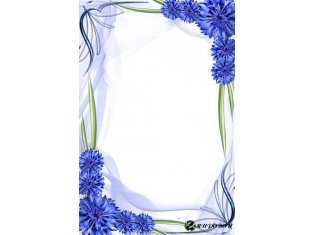 Рамка васильки на прозрачном фоне (30 фото)