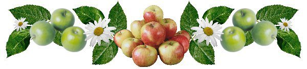 Яблочный спас на прозрачном фоне