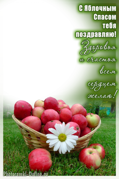 Рамки с яблочным список