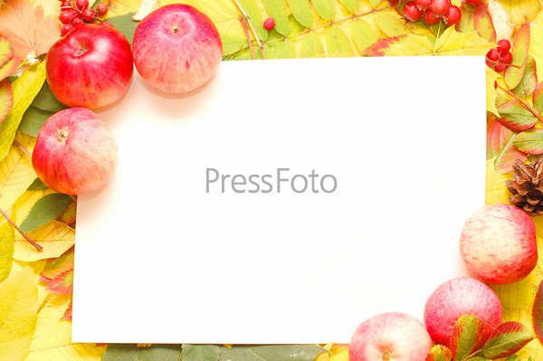 Рамка для текста к яблочному спасу