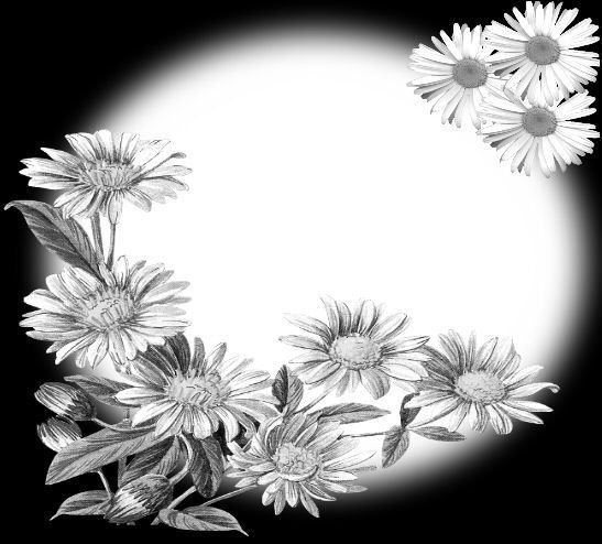 Черно белые маски для прошоу продюсер