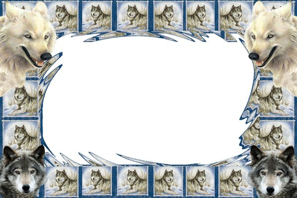 Рамка с волком