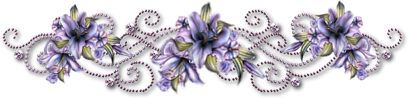 Цветочные бордюры на прозрачном фоне