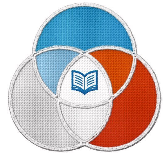 Отличительные знаки РДШ