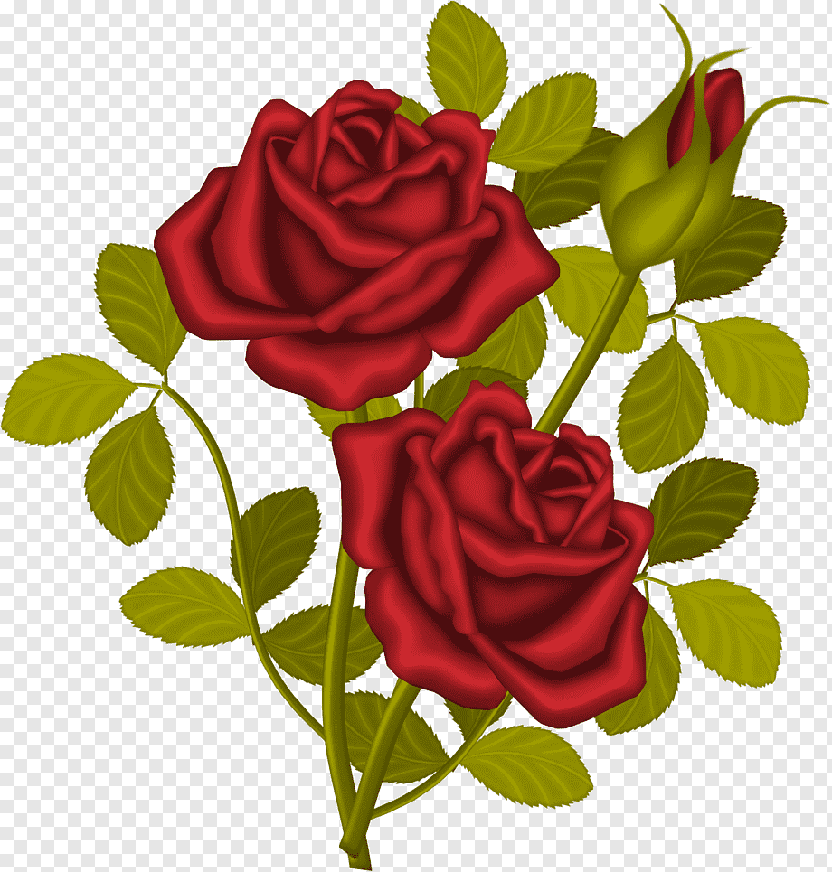 Детские розочки. Розы мультяшные. Дети розы. Красные розы на прозрачном фоне. Рисованные розы на прозрачном фоне.