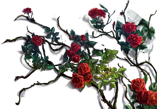 Лоза розы