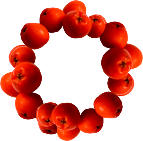 Рябина круглая