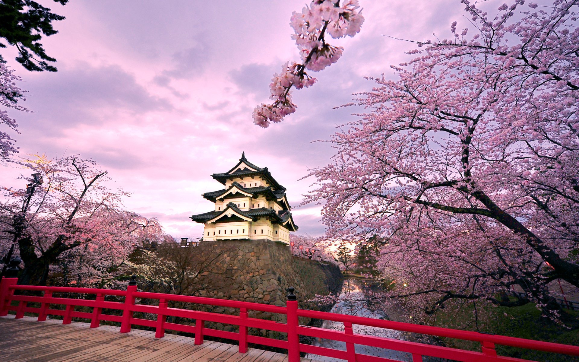 Замок Хиросаки Сакура. Замок Хиросаки, Япония.. Корея черри блоссом. Храм Японии Фуджи Сакура. Место сакура
