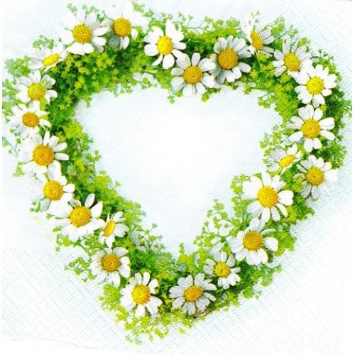 Ромашки в виде сердца