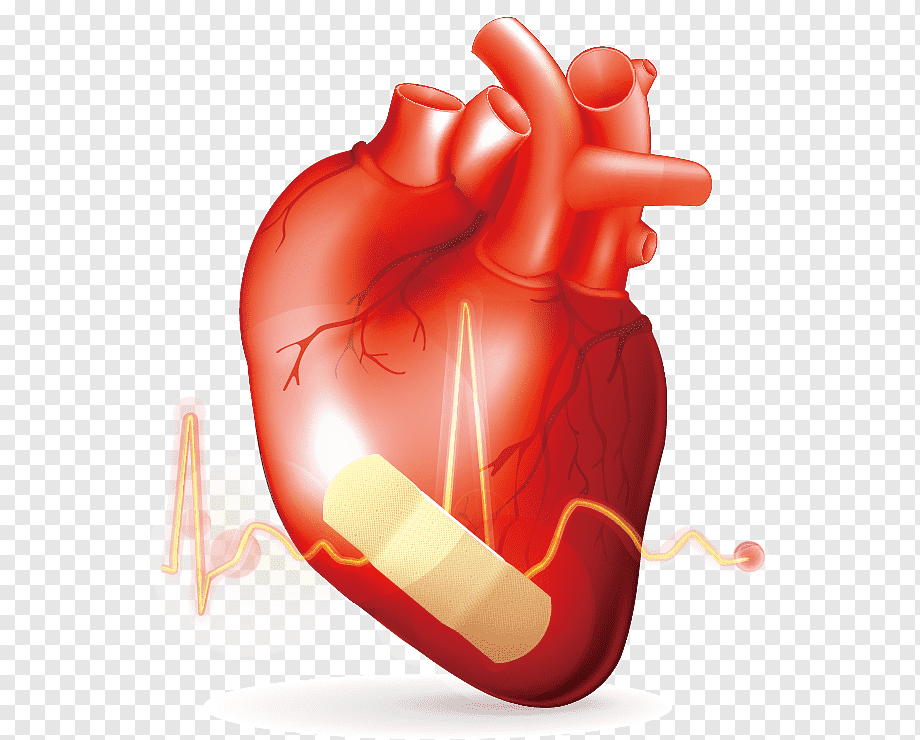 Язва сердца. Сердце медицина. Болезнь сердца без фона. Сердце медицина без фона.