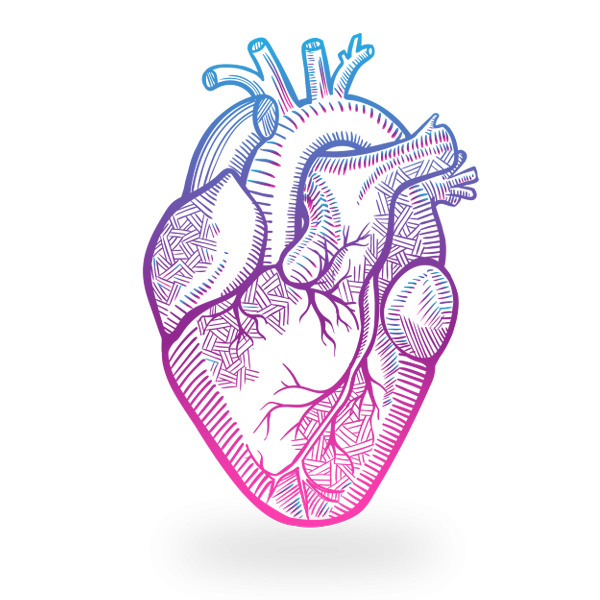 Человеческое сердце на прозрачном фоне