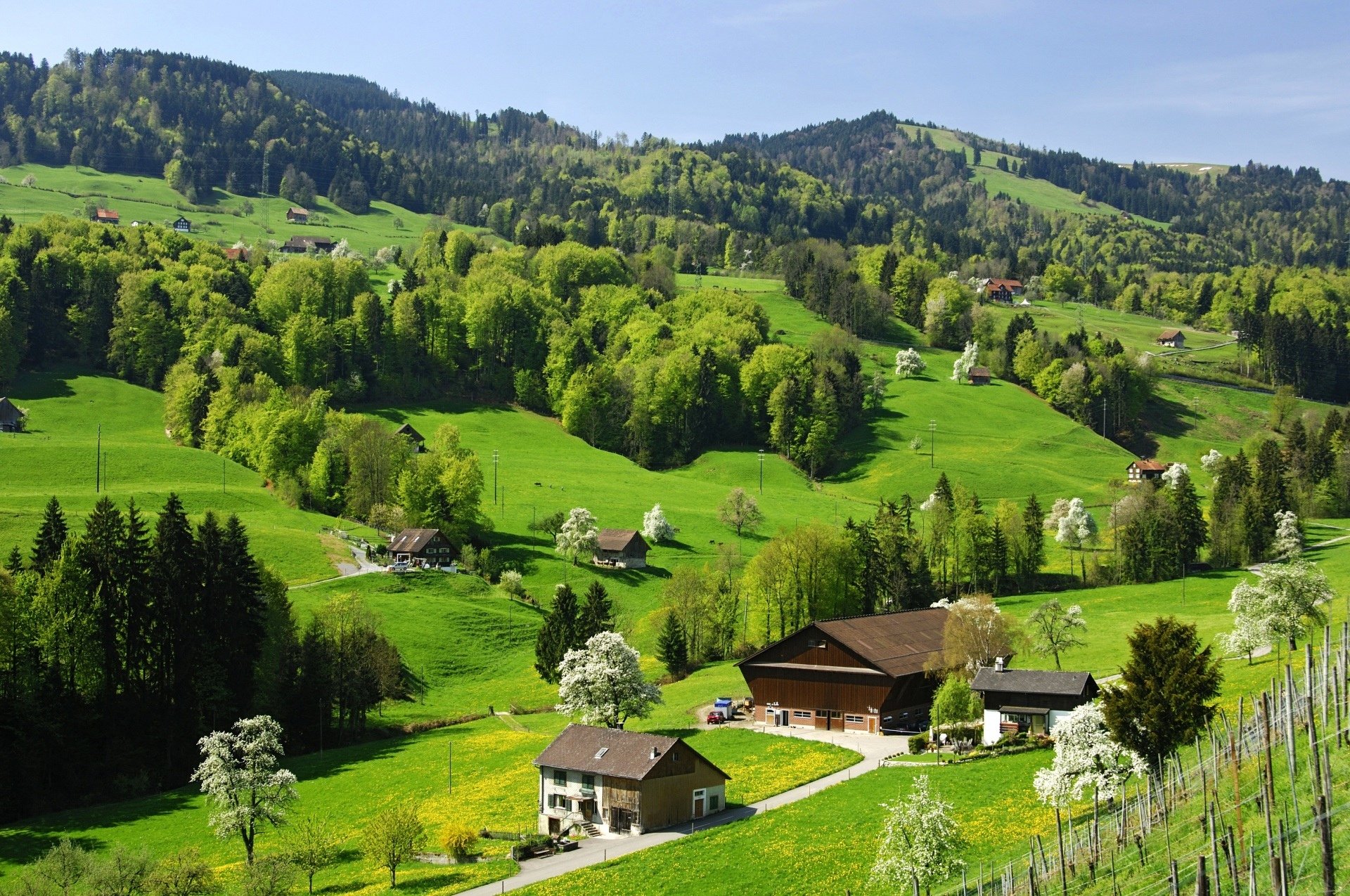 Село зелени. Альпийские Луга Германии. Швейцария манзаралари. Швейцария холмы. Аппенцелль Швейцария.