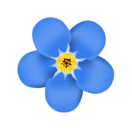 Синий цветок для детей