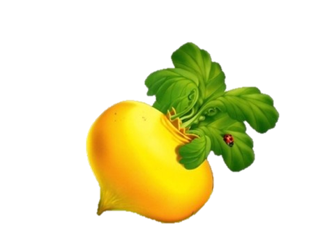 Репка картинки для детей