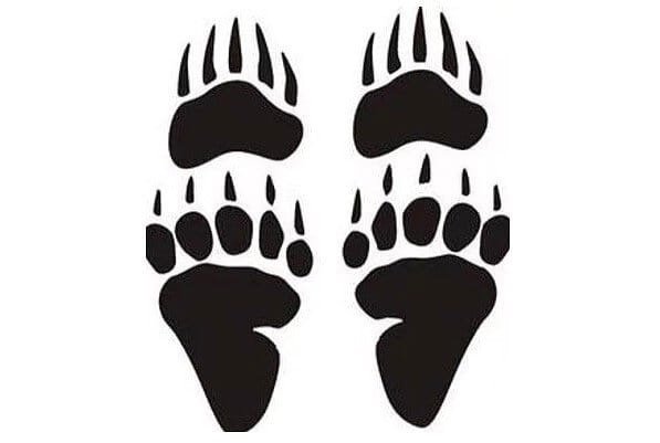 Следы животных медведь