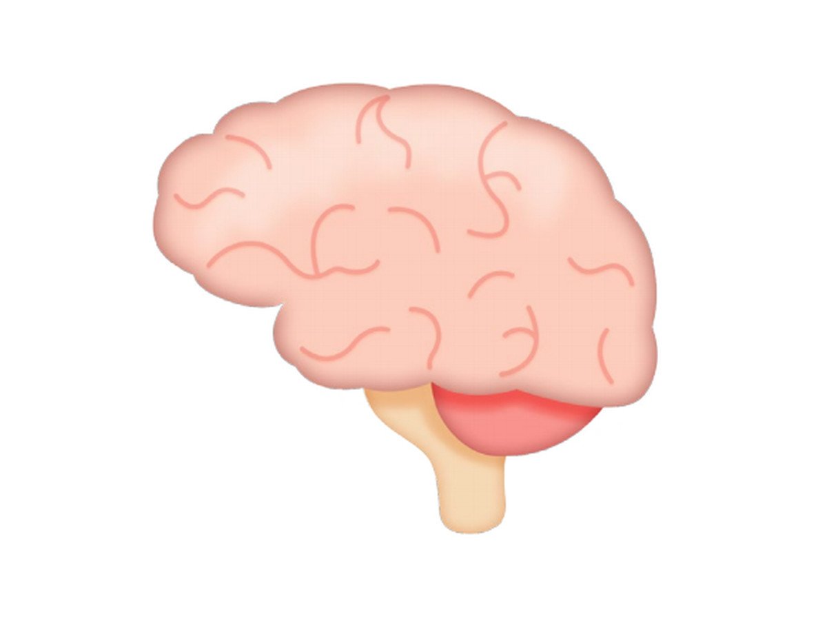 Brain 48. ЭМОДЖИ мозг. Мозги эмодзи. Головной мозг эмодзи. Смайлики Brain.