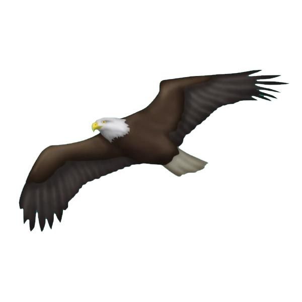 Смайлик орла