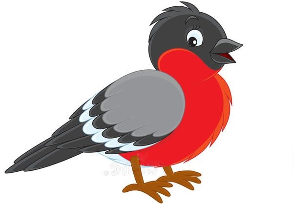 Снегирь клипарт