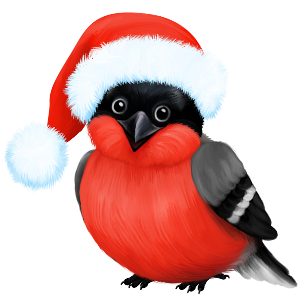 Снегирь на прозрачном фоне