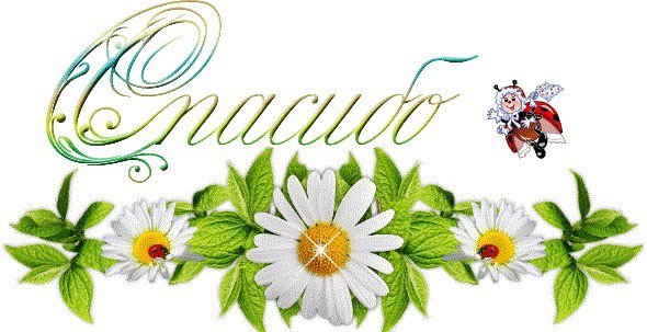 Спасибо ромашки