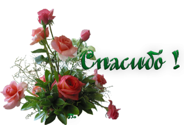 Благодарный цветы. Благодарю цветы. Стикер спасибо с цветами. Открытка спасибо с цветами. Благодарность цветы.