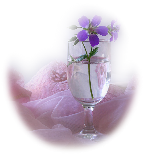 Цветы в прозрачном бокале