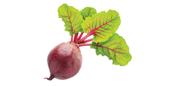 Буряк на прозрачном фоне
