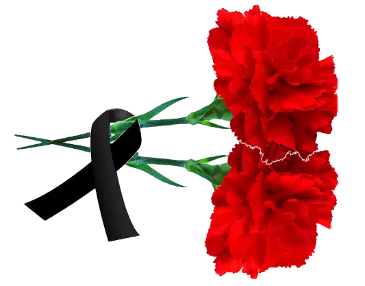 Траурные гвоздики