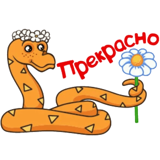 38 Попугаев на прозрачном фоне