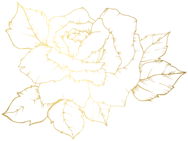 Контур цветка на прозрачном фоне