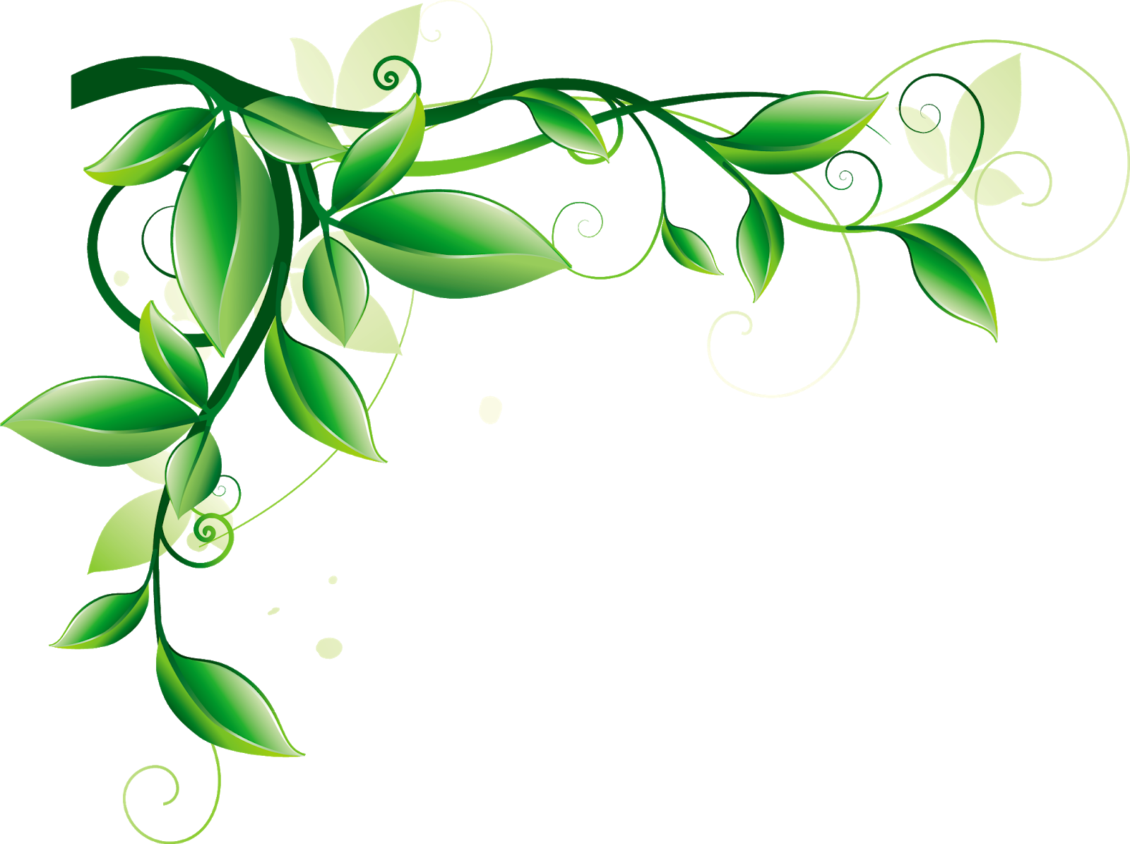 Зеленый узор. Зеленый орнамент. Растительный узор. Цветочный орнамент на прозрачном фоне.