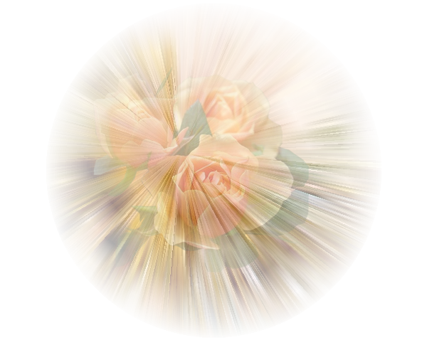 Цветы размытые на прозрачном фоне (42 фото)