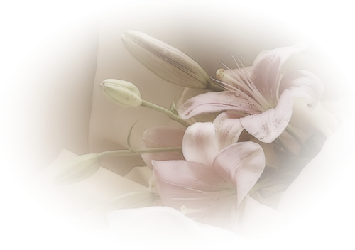 Полупрозрачные нежные цветы