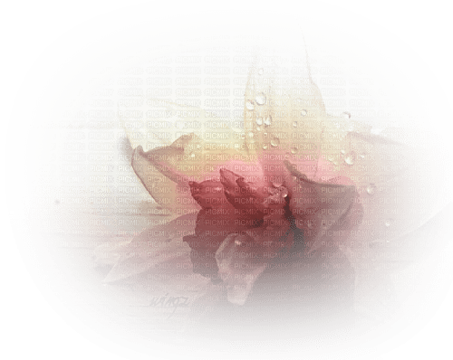 Картинка с размытыми краями