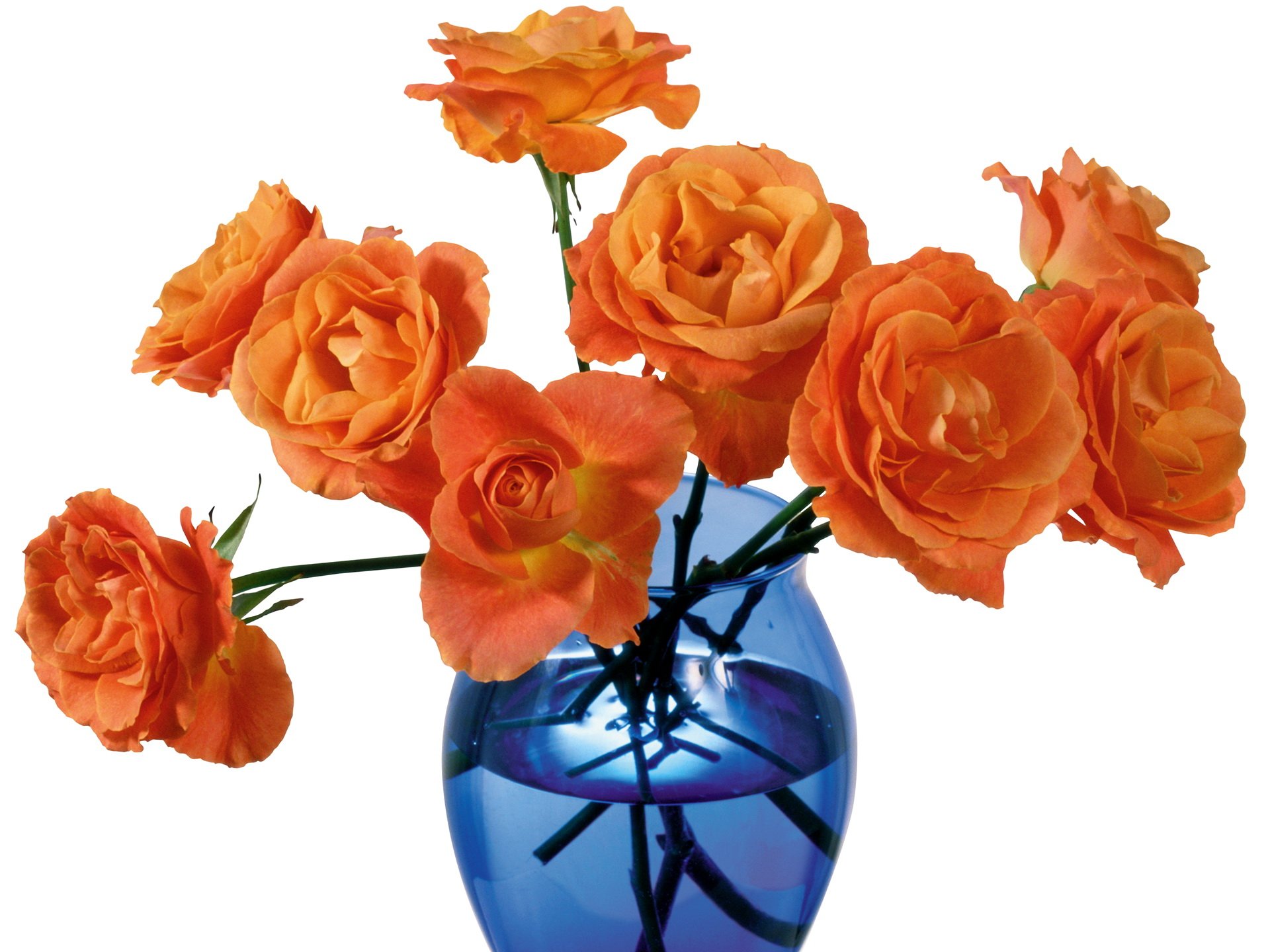 Цветы в вазах. Ваза с цветами. Прозрачная ваза с цветами. Цветы в прозрачной вазе. Оранжевые розы в вазе