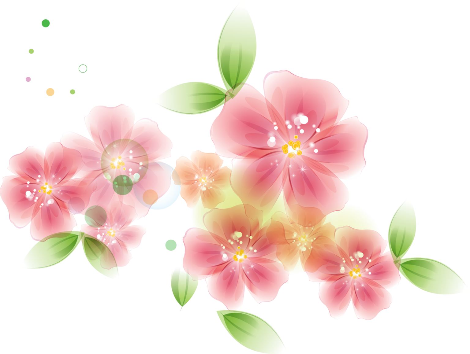 Картинка цветочки на прозрачном фоне